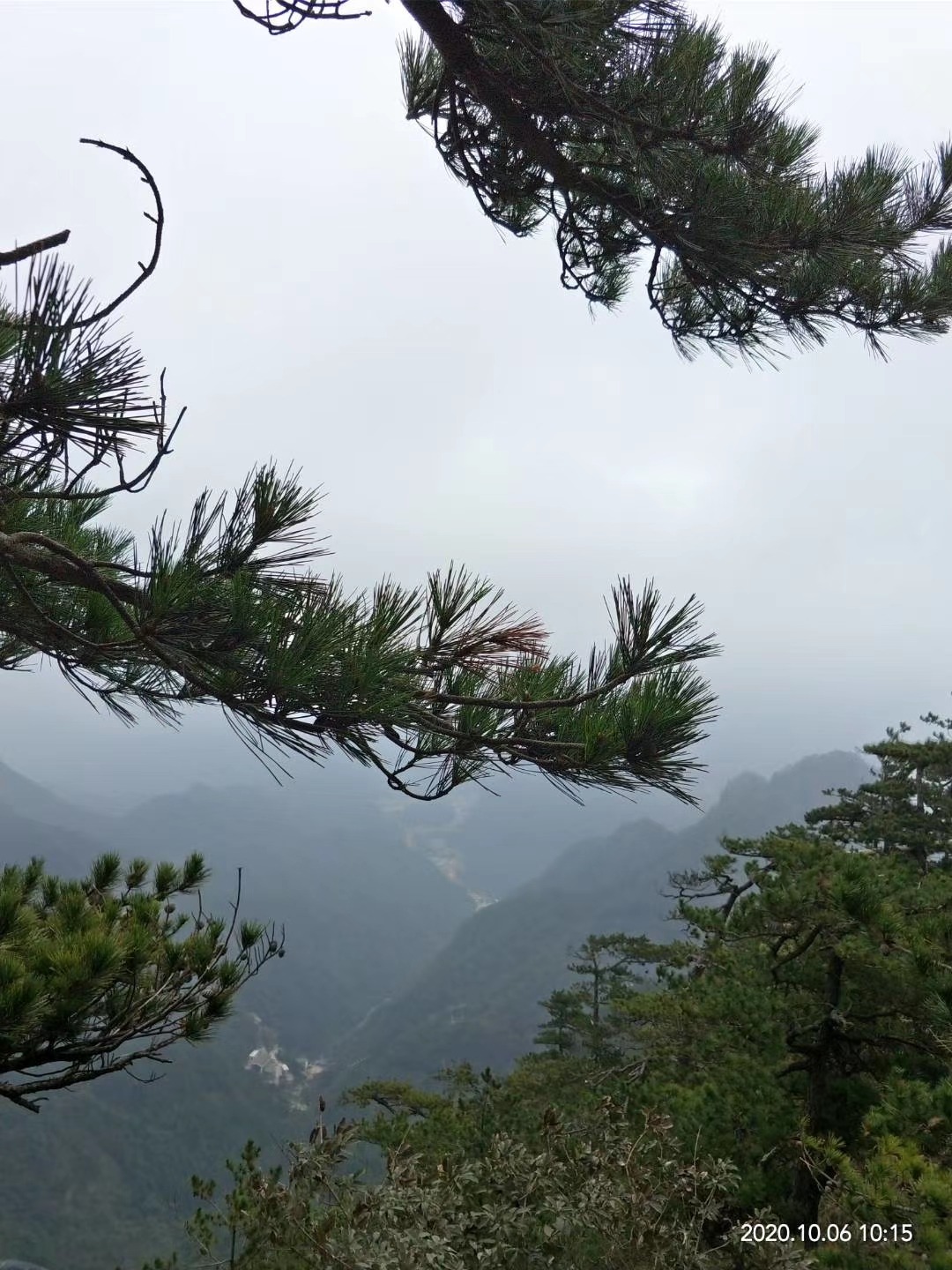 风雨人间广东文谭杰尹广东