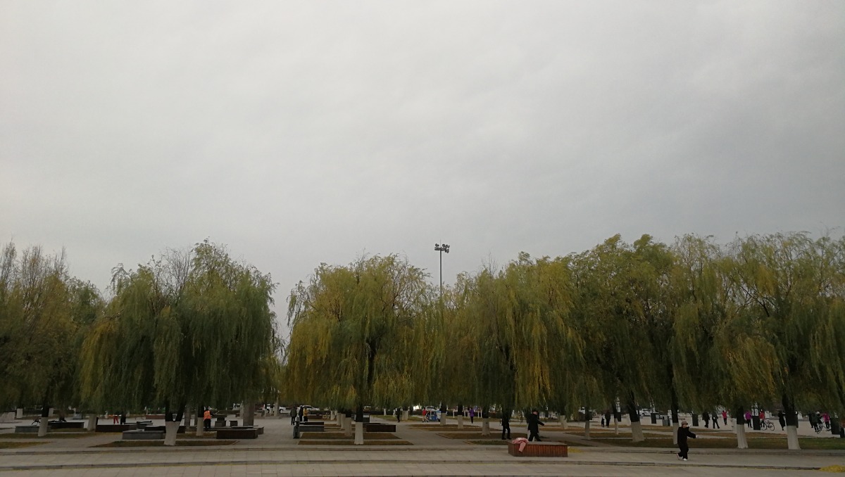 IMG_20201031_064756.jpg