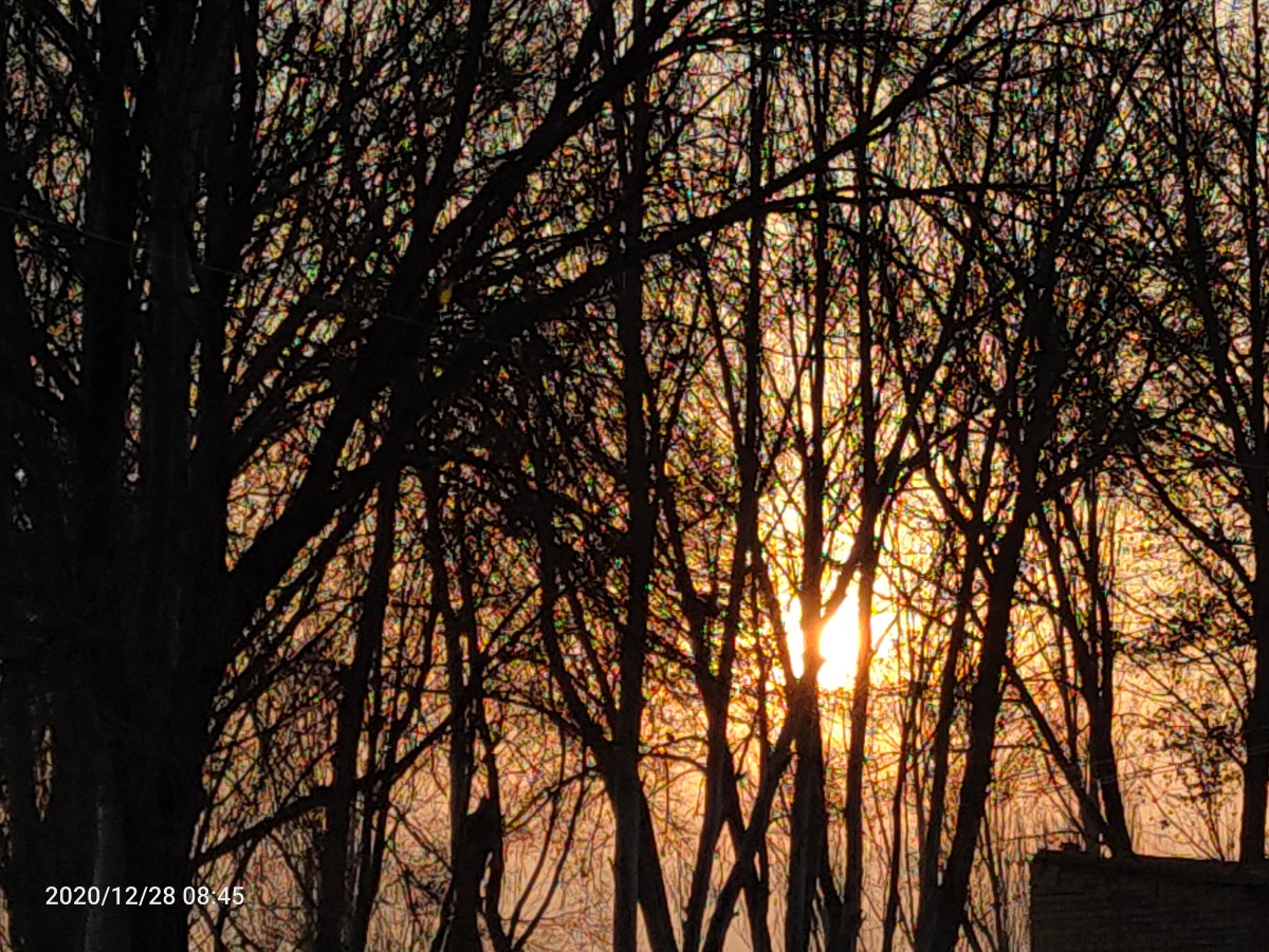 IMG20201228084511.jpg