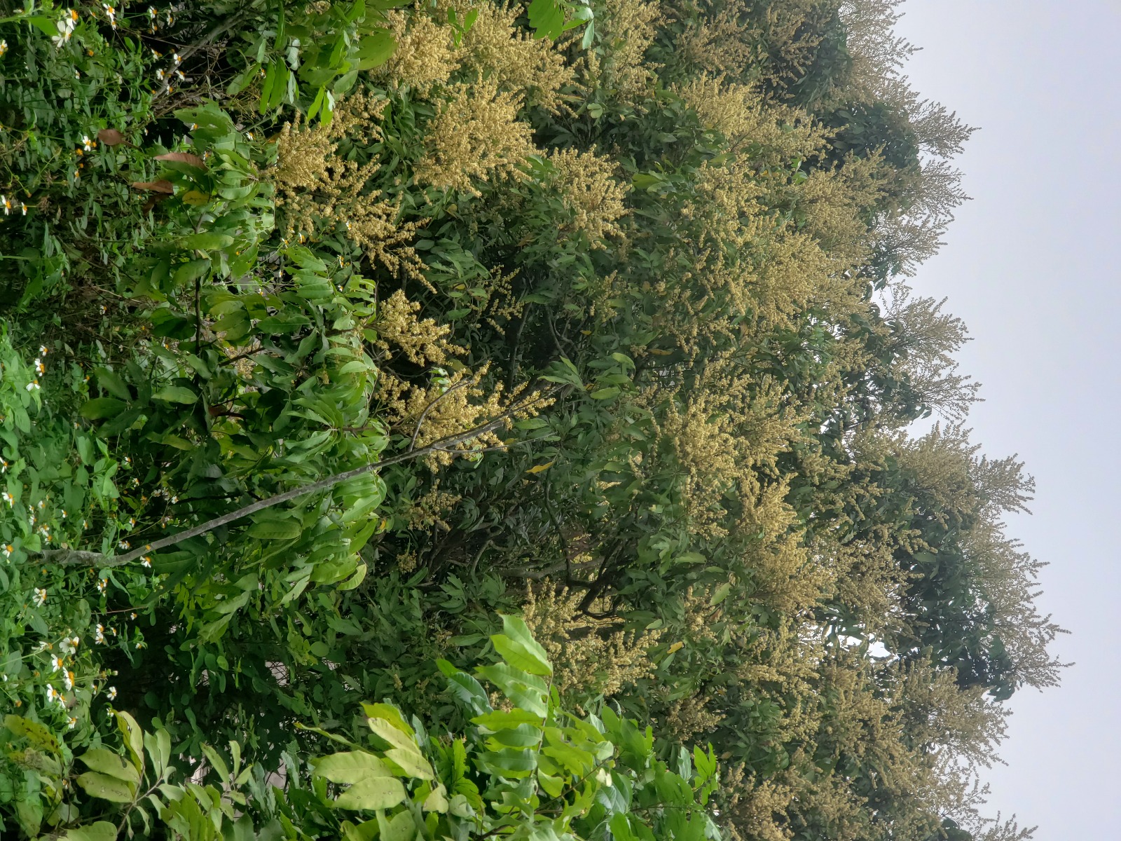 20210404_130826.jpg