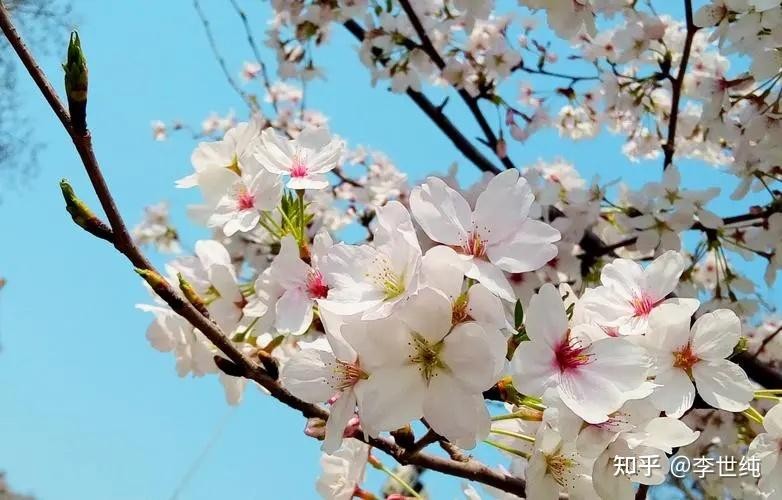 142646k1fa1he3hh5ade3e.jpg 142646k1fa1he3hh5ade3e.jpg