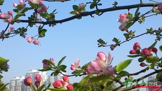 142648l28fuwqw7updxhpw.jpg 142648l28fuwqw7updxhpw.jpg