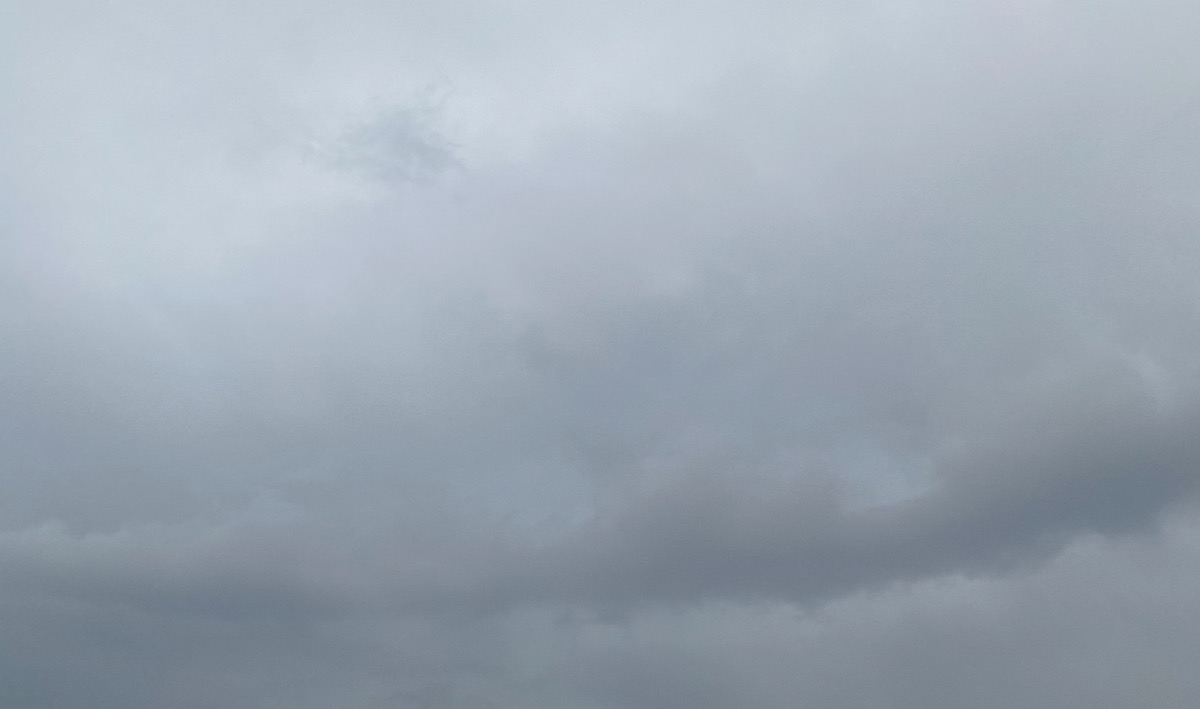 1225C40A-0AF9-40D1-8957-736F5B554AD9.jpeg