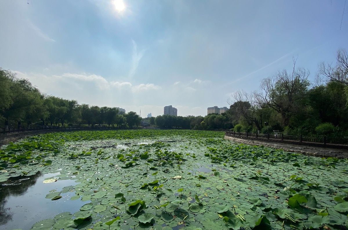 207EB315-D484-491A-961C-D3B74CE9DED1.jpeg