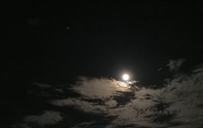 82E529D6-D358-4F19-B365-7712D64106FF.jpeg