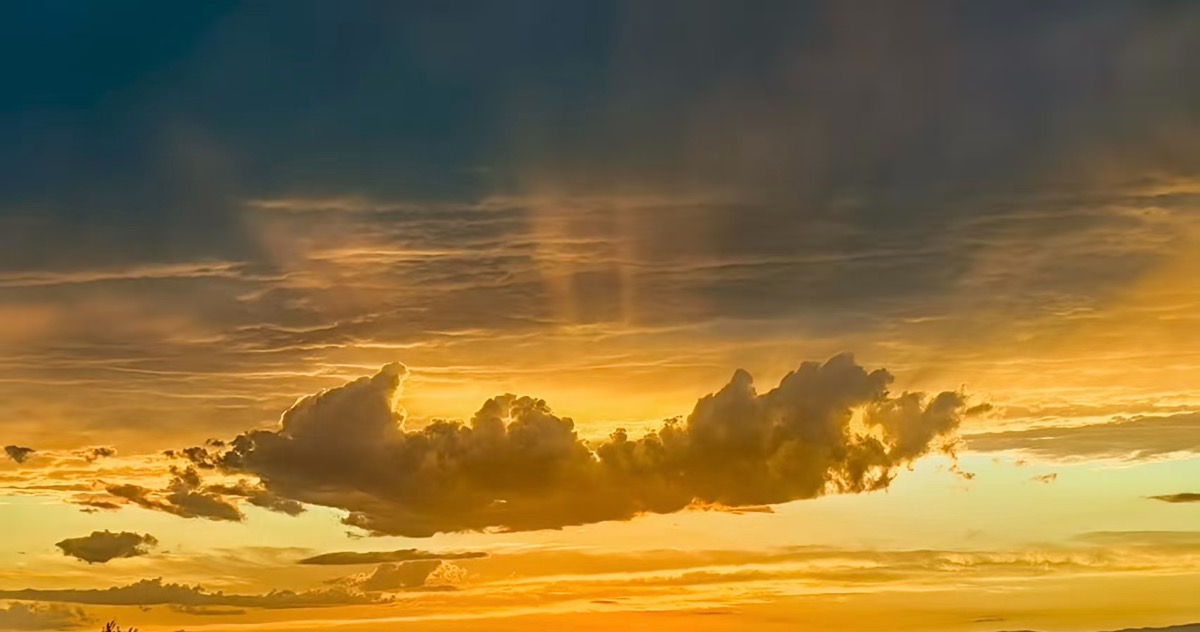 30F1B038-1624-4E6A-B881-28C17AAF3146.jpeg