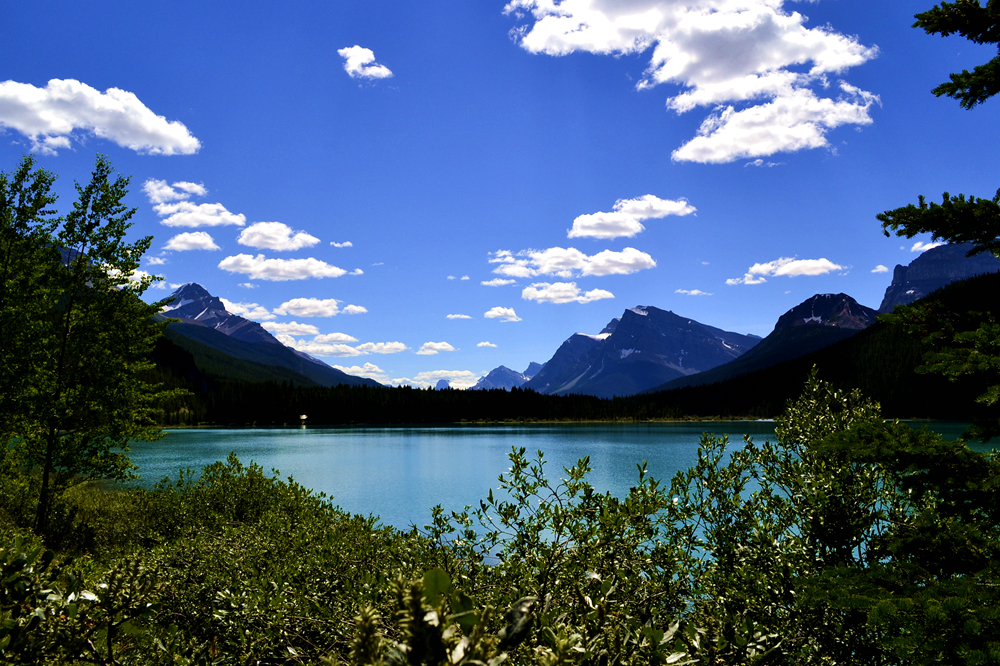 _DSC2462.JPG