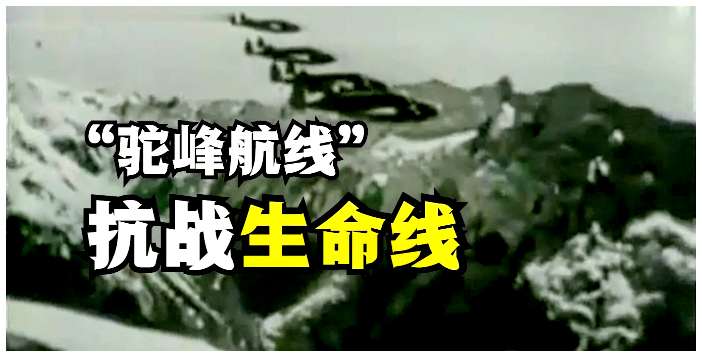 250905-驼峰祭.png