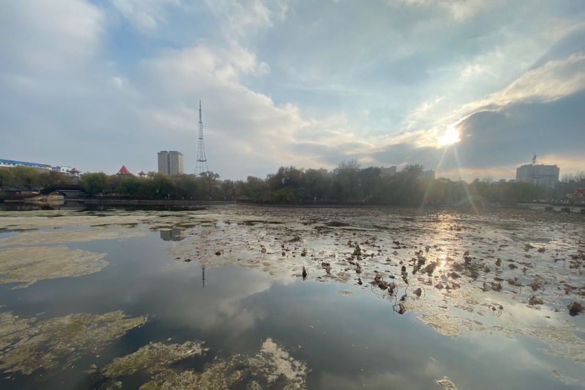 933AAF02-A90B-463A-AC0D-79D3D4FC6E27.jpeg