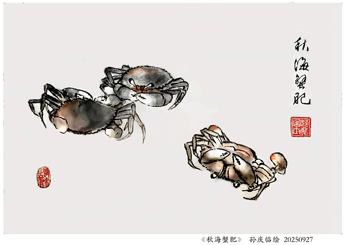 251011-秋海蟹肥.jpg