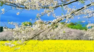 t017e714f92d4a35bc1.png
