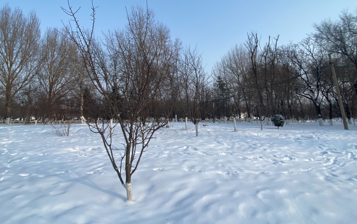FD93F127-76FA-49B0-8072-722974F201C9.jpeg
