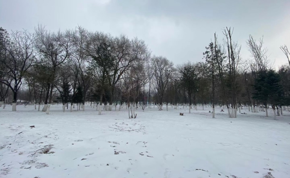 0C765950-09DC-4498-84B0-8E618FDBF6A6.jpeg