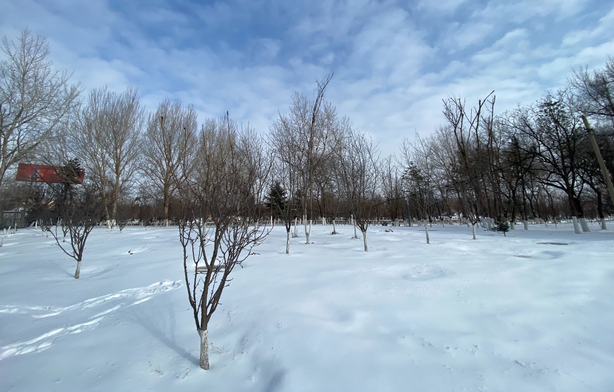33AC8718-4E89-49B5-BDAF-20ED66882EA3.jpeg