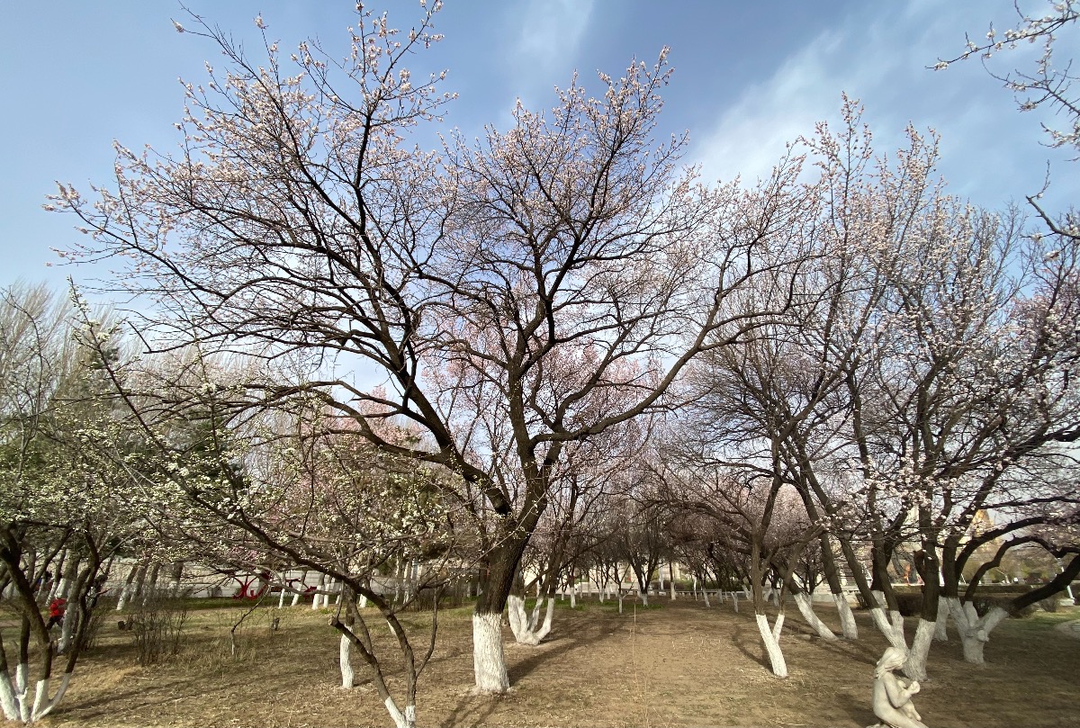 6ED414CE-7FED-48C4-B6A2-FE741F540B13.jpeg