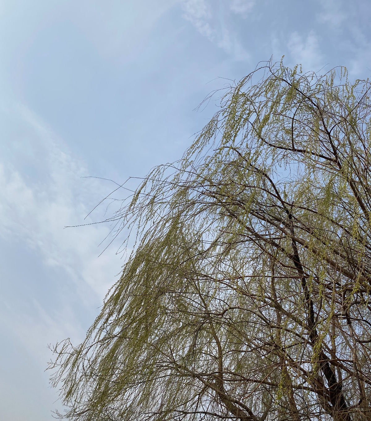 39714706-9EAC-460C-8E17-9B2DF59DB720.jpeg