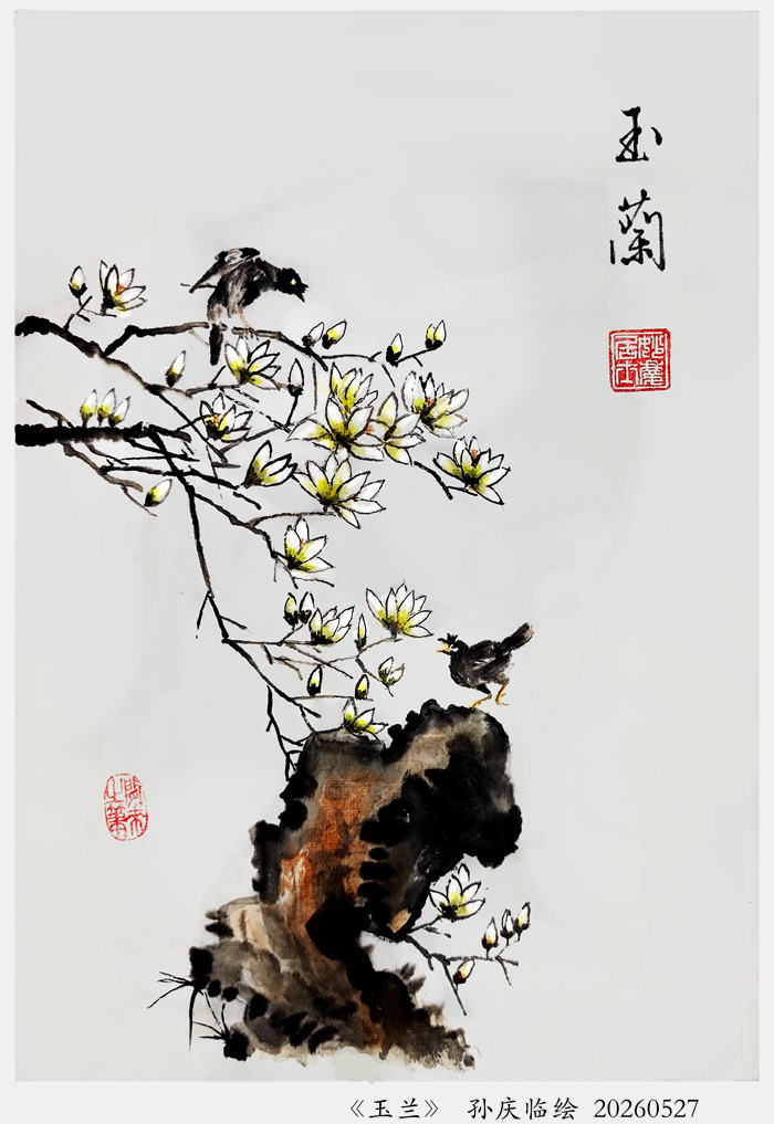 260615-玉兰.jpg