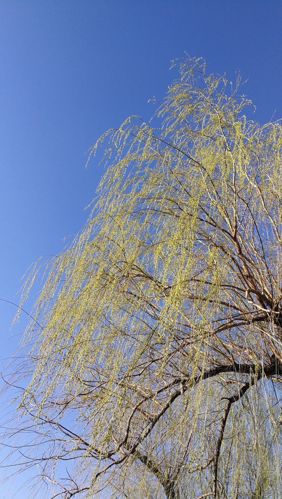 IMG_20190414_072845.jpg